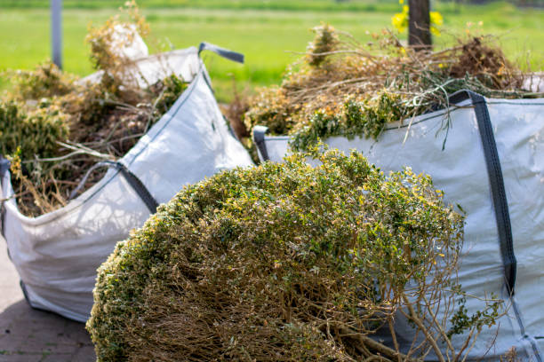 Best Basement Cleanout Services  in Dubuque, IA